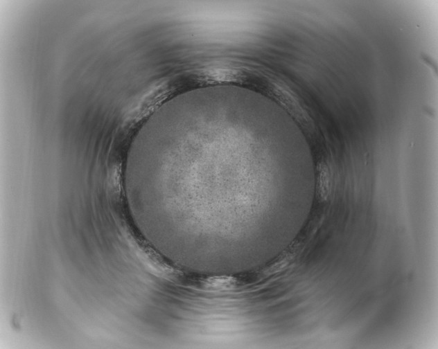 X0000100910410200807011248