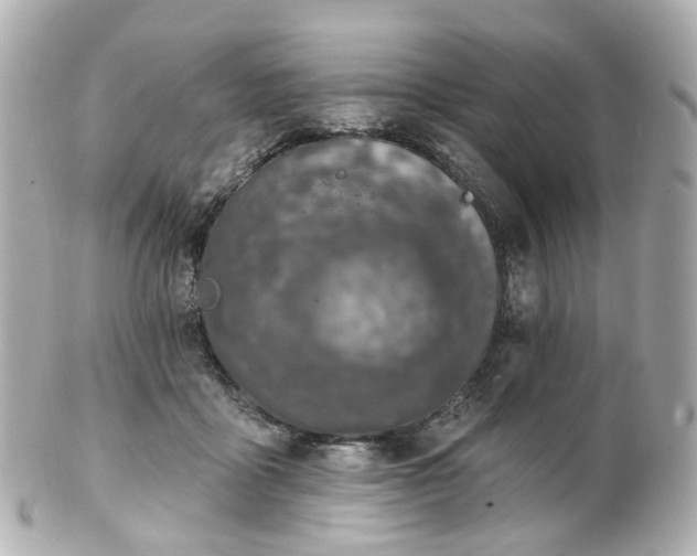 X0000100910411200807011248