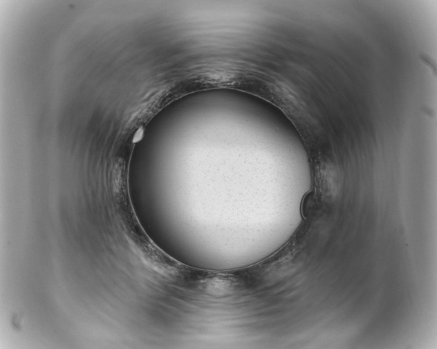 X0000100910412200807011248