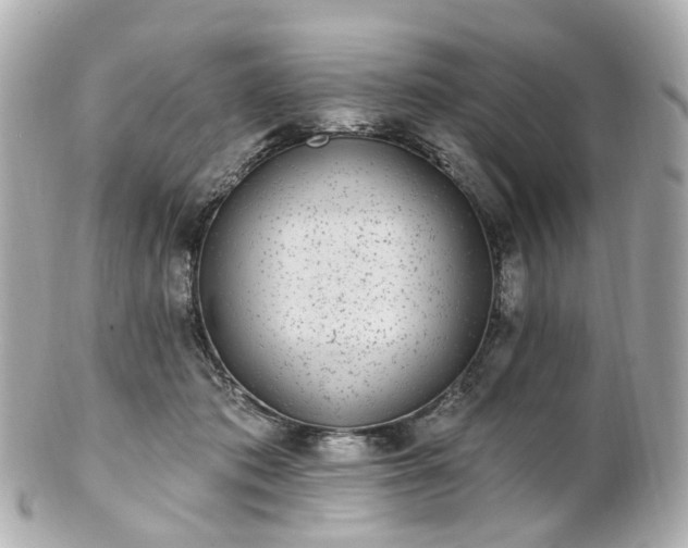 X0000100910413200807011248