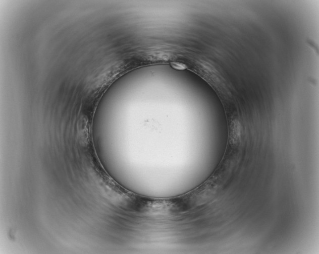 X0000100910414200807011248
