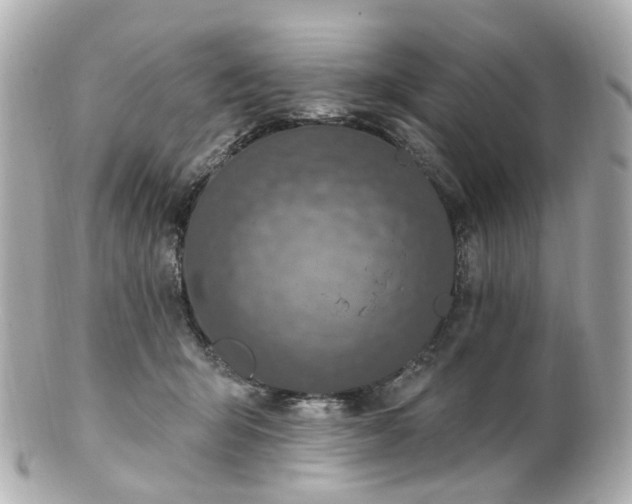 X0000100910415200807011248