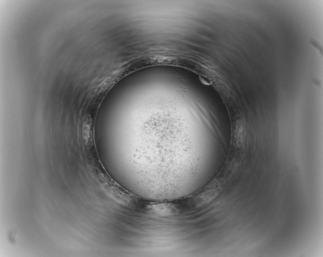 X0000100910417200807011248