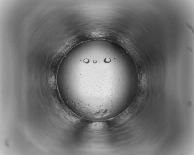 X0000100910418200807011248