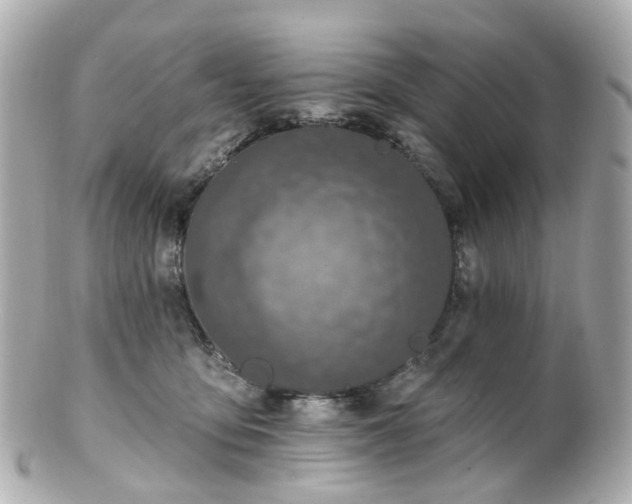 X0000100910419200807011248