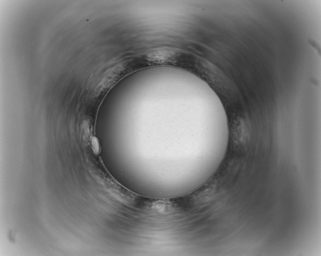 X0000100910420200807011248