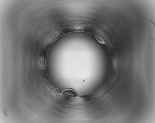X0000100910421200807011248