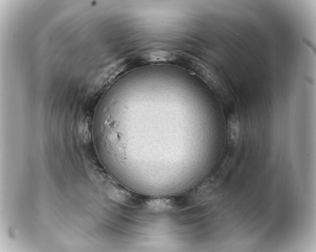 X0000100910422200807011248
