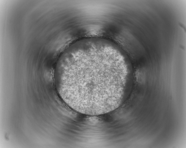 X0000100910423200807011248