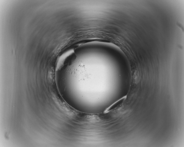 X0000100910424200807011248