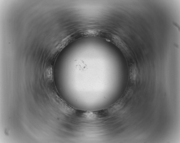 X0000100910425200807011248