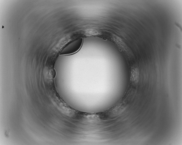 X0000100910426200807011248