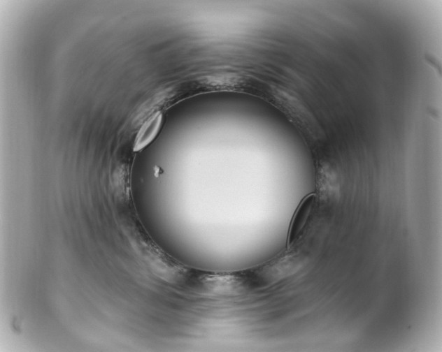 X0000100910428200807011248