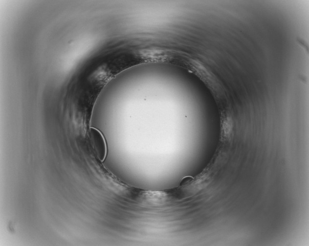 X0000100910429200807011248