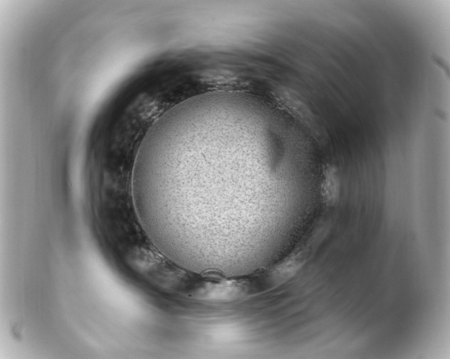 X0000100910430200807011248