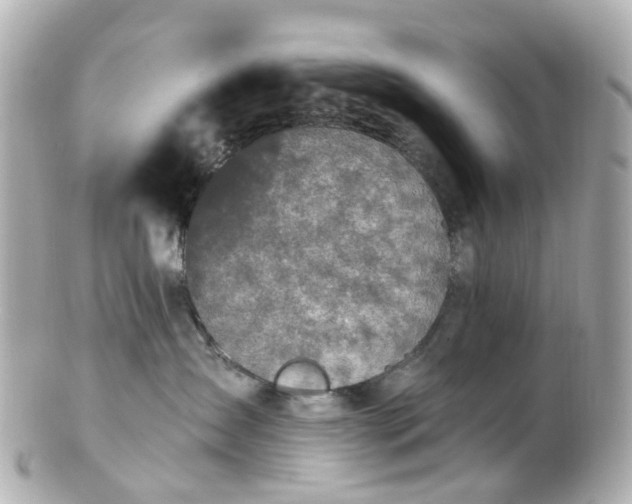 X0000100910431200807011248