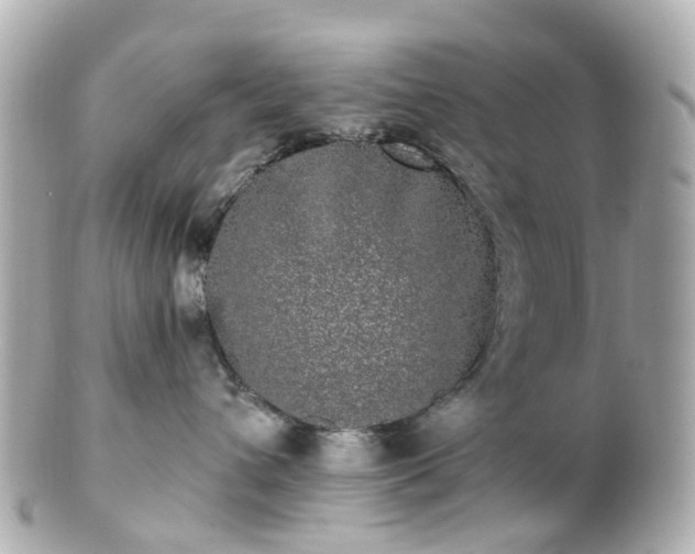 X0000100910432200807011248