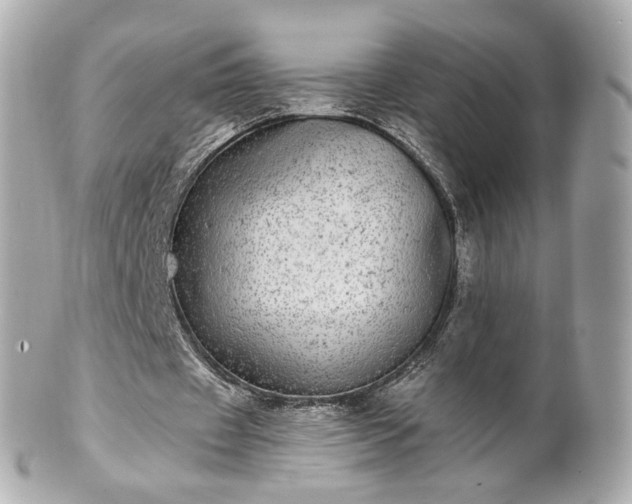 X0000100910433200807011247