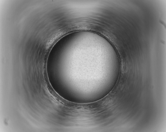 X0000100910434200807011247