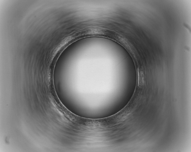 X0000100910435200807011247