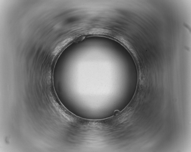 X0000100910437200807011247