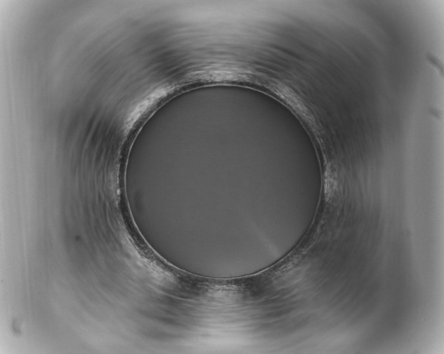 X0000100910438200807011247