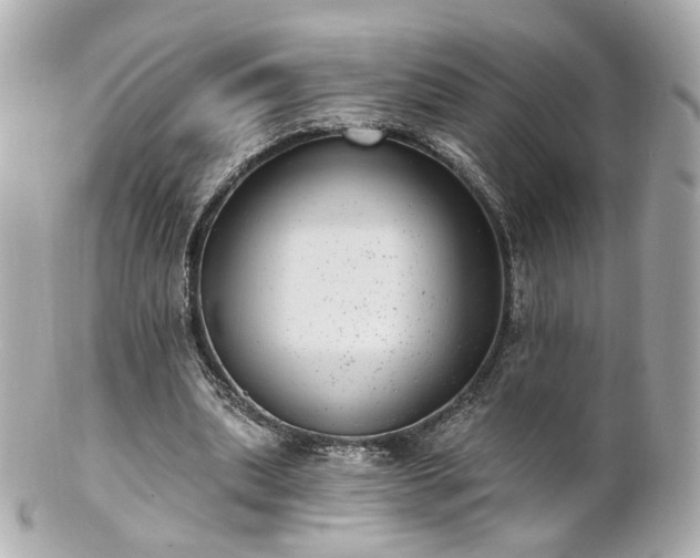 X0000100910439200807011247