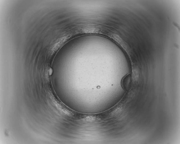 X0000100910441200807011247