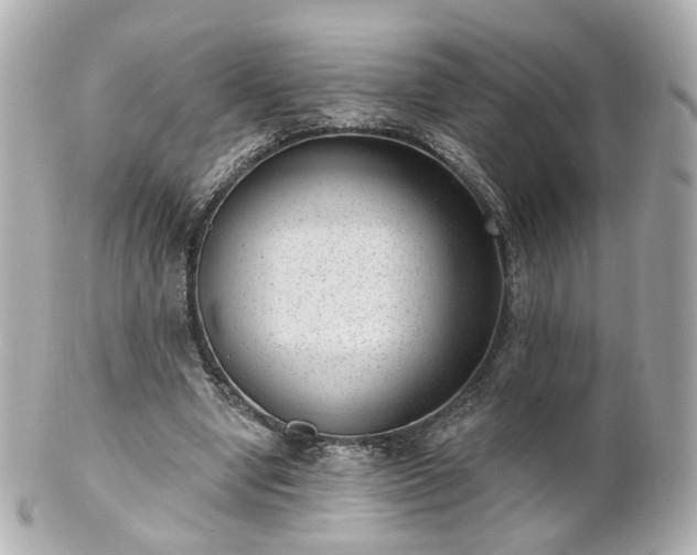 X0000100910442200807011247