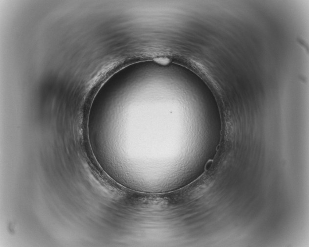 X0000100910443200807011247