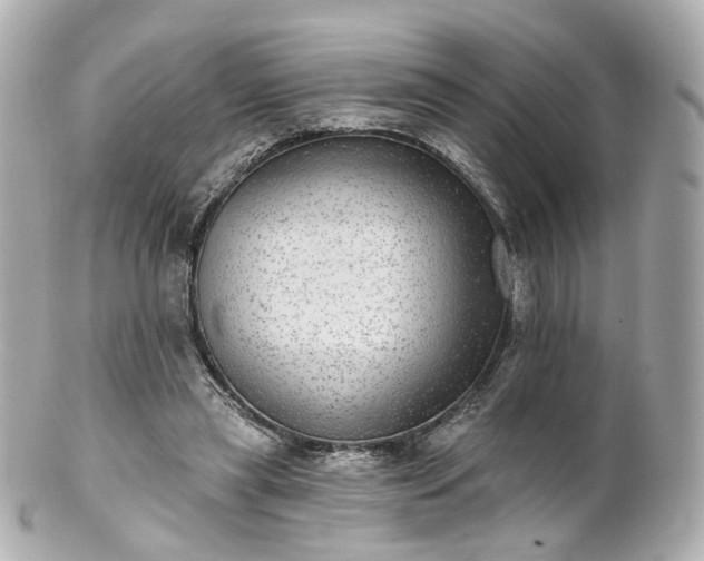 X0000100910445200807011247