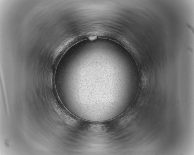 X0000100910446200807011247