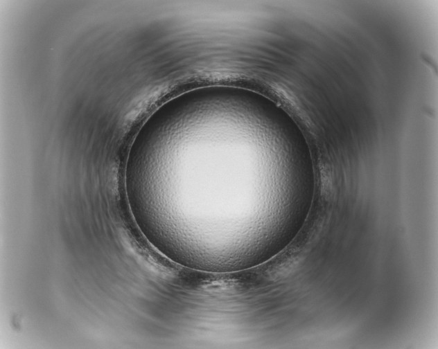 X0000100910447200807011247