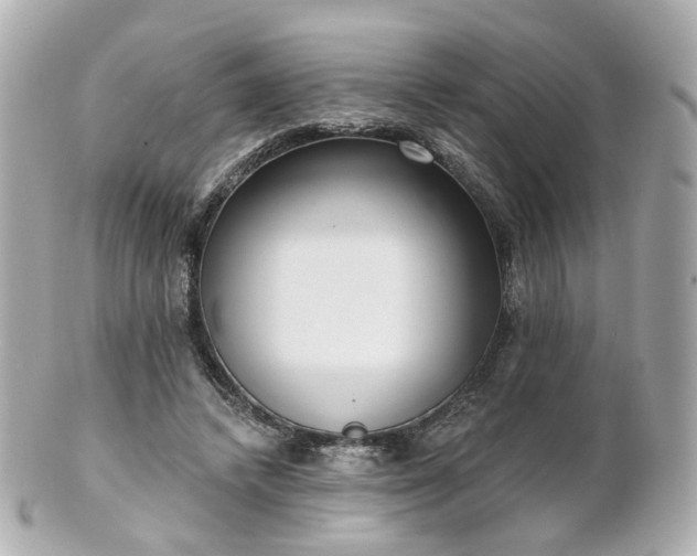 X0000100910448200807011247