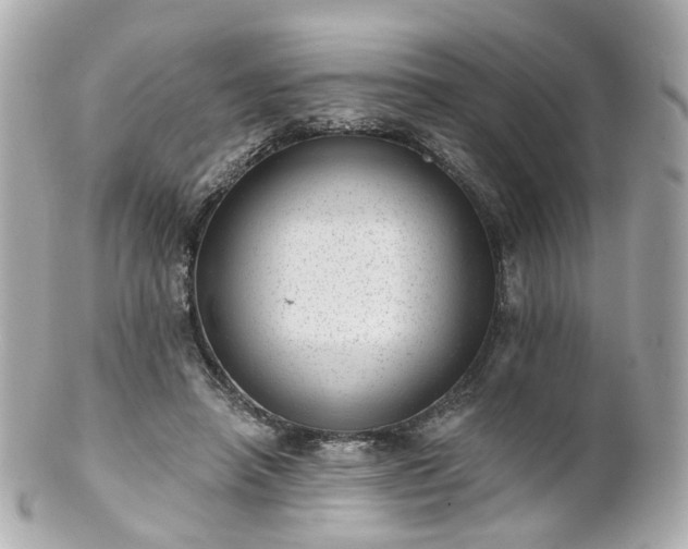 X0000100910450200807011247