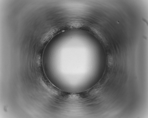 X0000100910451200807011247