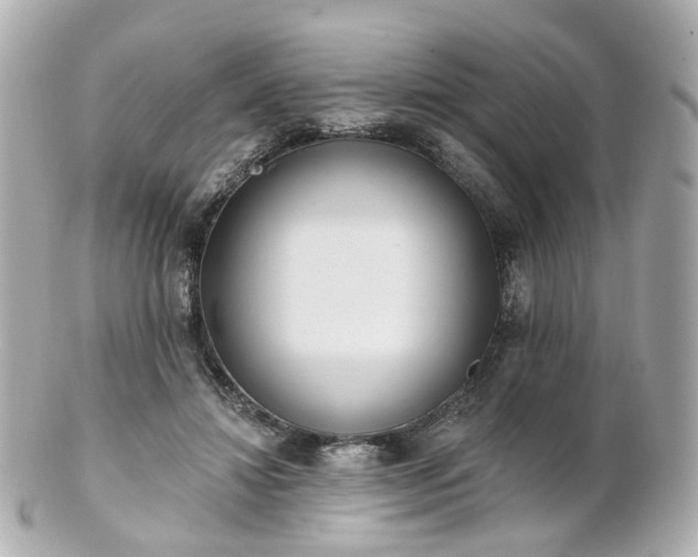 X0000100910452200807011247