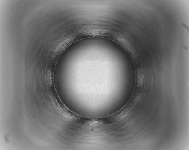 X0000100910453200807011247