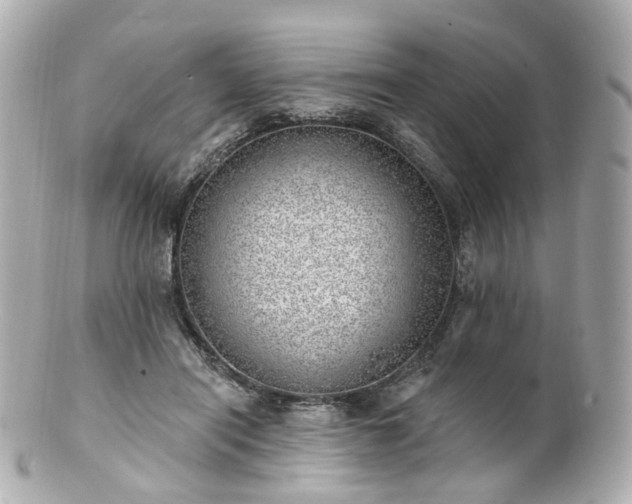 X0000100910454200807011247