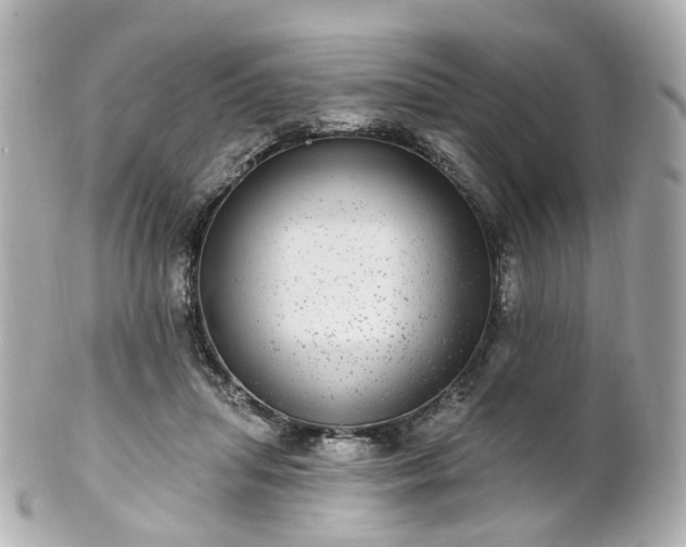 X0000100910455200807011247
