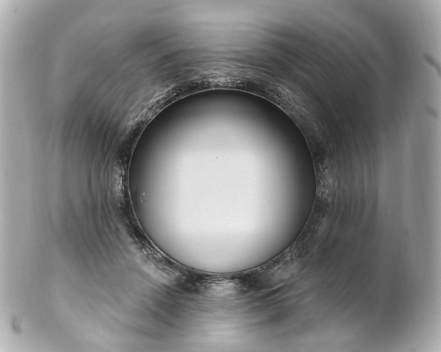 X0000100910456200807011247