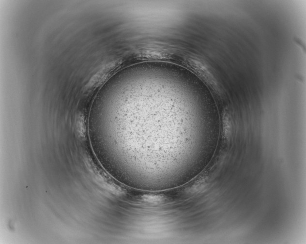 X0000100910457200807011247