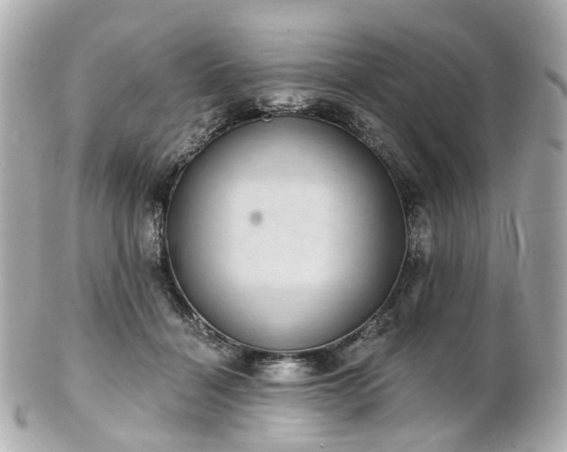 X0000100910460200807011248