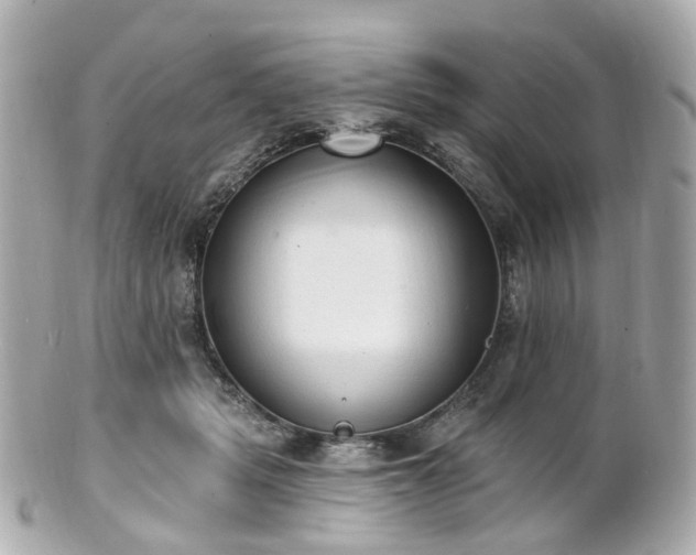 X0000100910461200807011248