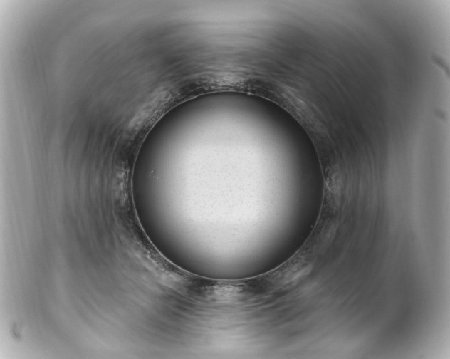 X0000100910462200807011248