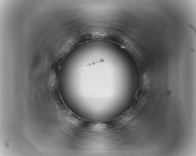 X0000100910463200807011248