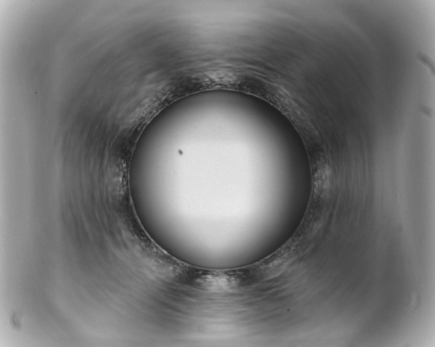 X0000100910464200807011248
