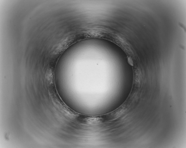 X0000100910465200807011248