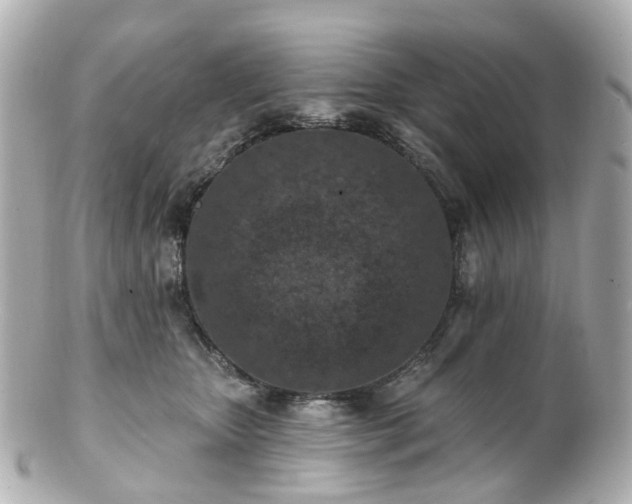 X0000100910467200807011248