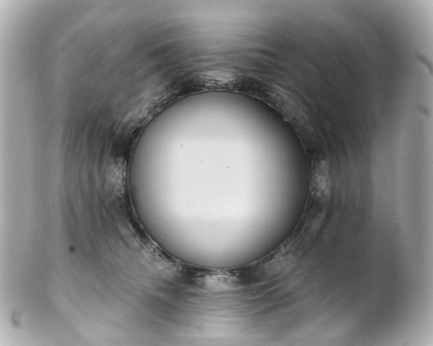 X0000100910468200807011248